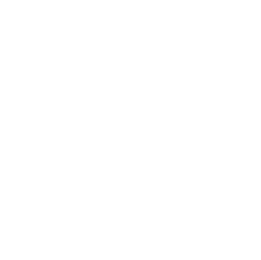 Nucleus